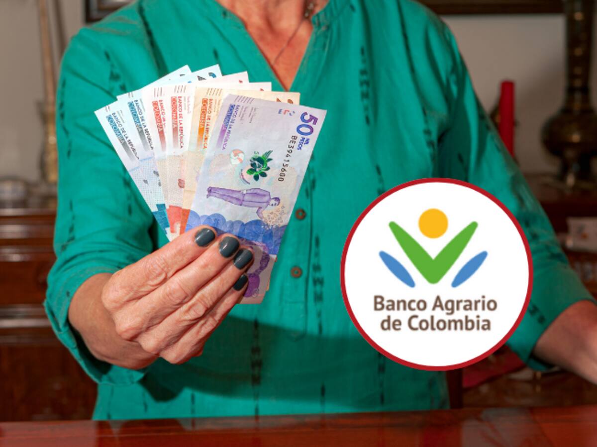 BanAgrario pagará gradualmente Renta Ciudadana: verifique así si el pago está disponible