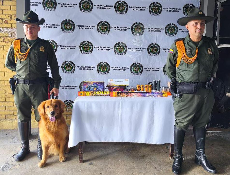 Canela fue clave para que la policía Quindío, incautara gran cantidad de pólvora en Armenia. Foto: Cortesía Policía, Quindío