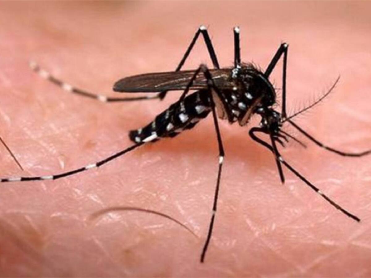 Muere en el Valle una mujer en las últimas horas por dengue