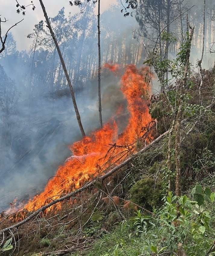 Incendio en La Estrella- foto alcaldía