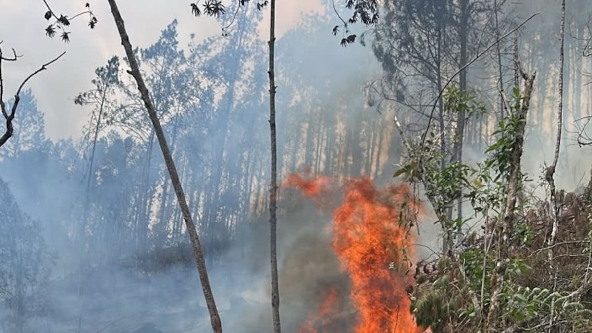 Bomberos de 4 municipios trabajan para apagar enorme incendio forestal en La Estrella, Antioquia