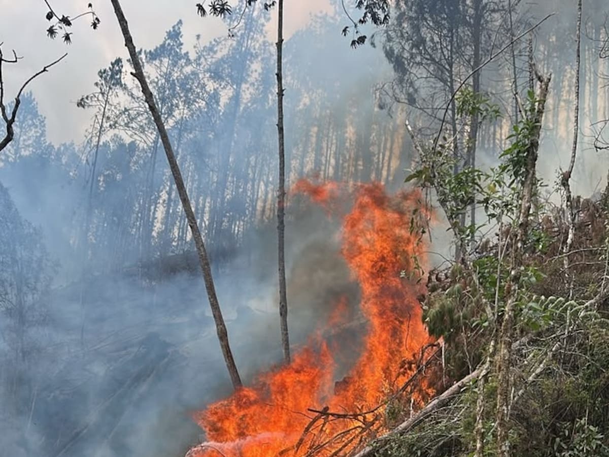 Bomberos de 4 municipios trabajan para apagar enorme incendio forestal en La Estrella, Antioquia