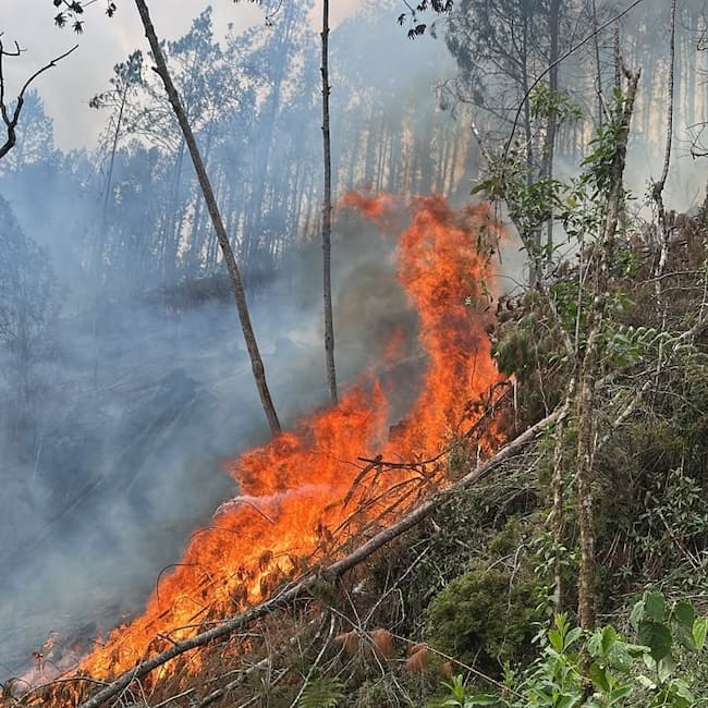 Incendio en La Estrella- foto alcaldía