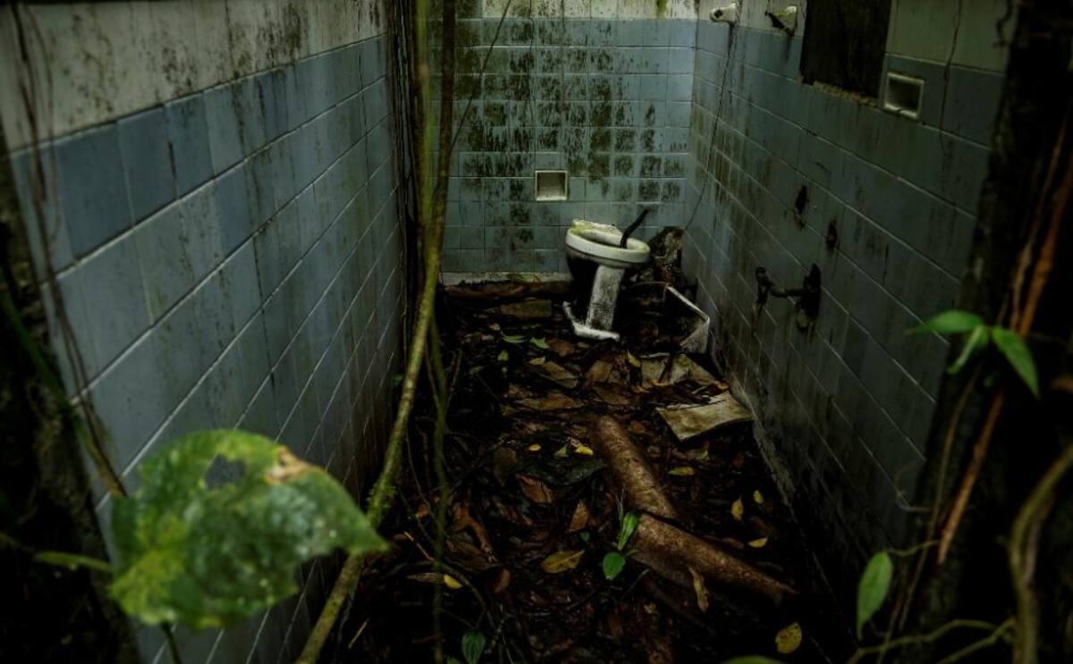 La naturaleza reclama su territorio y se instala en las ruinas de lo que alguna vez fue un temido lugar de reclusión en el Pacífico colombiano.