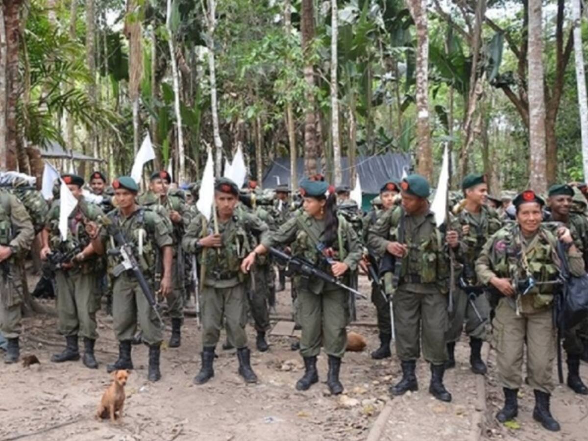 Las FARC emprendía castigos para frenar la diversidad sexual
