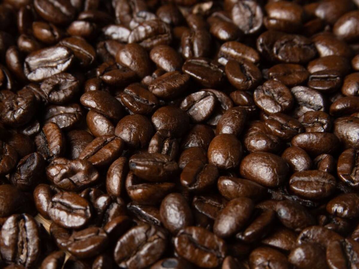 Mujeres rurales del Cauca lideran proyectos de producción de café