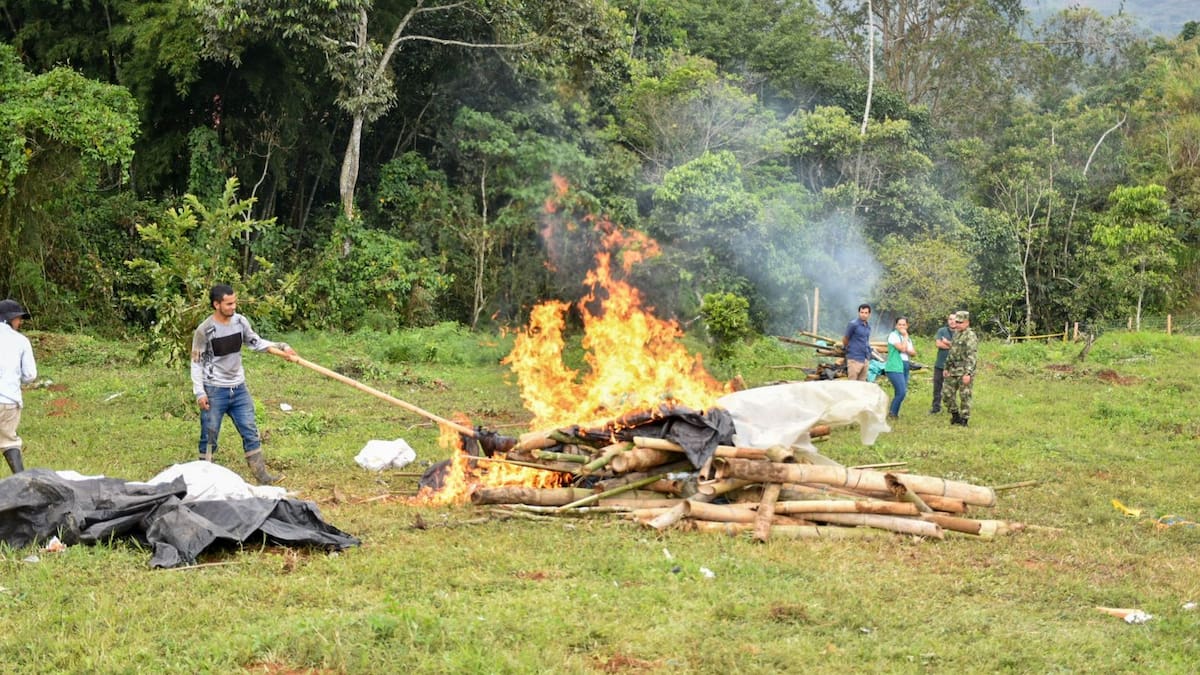 En Líbano, Tolima, buscan frenar a las bandas de ‘Tierreros’