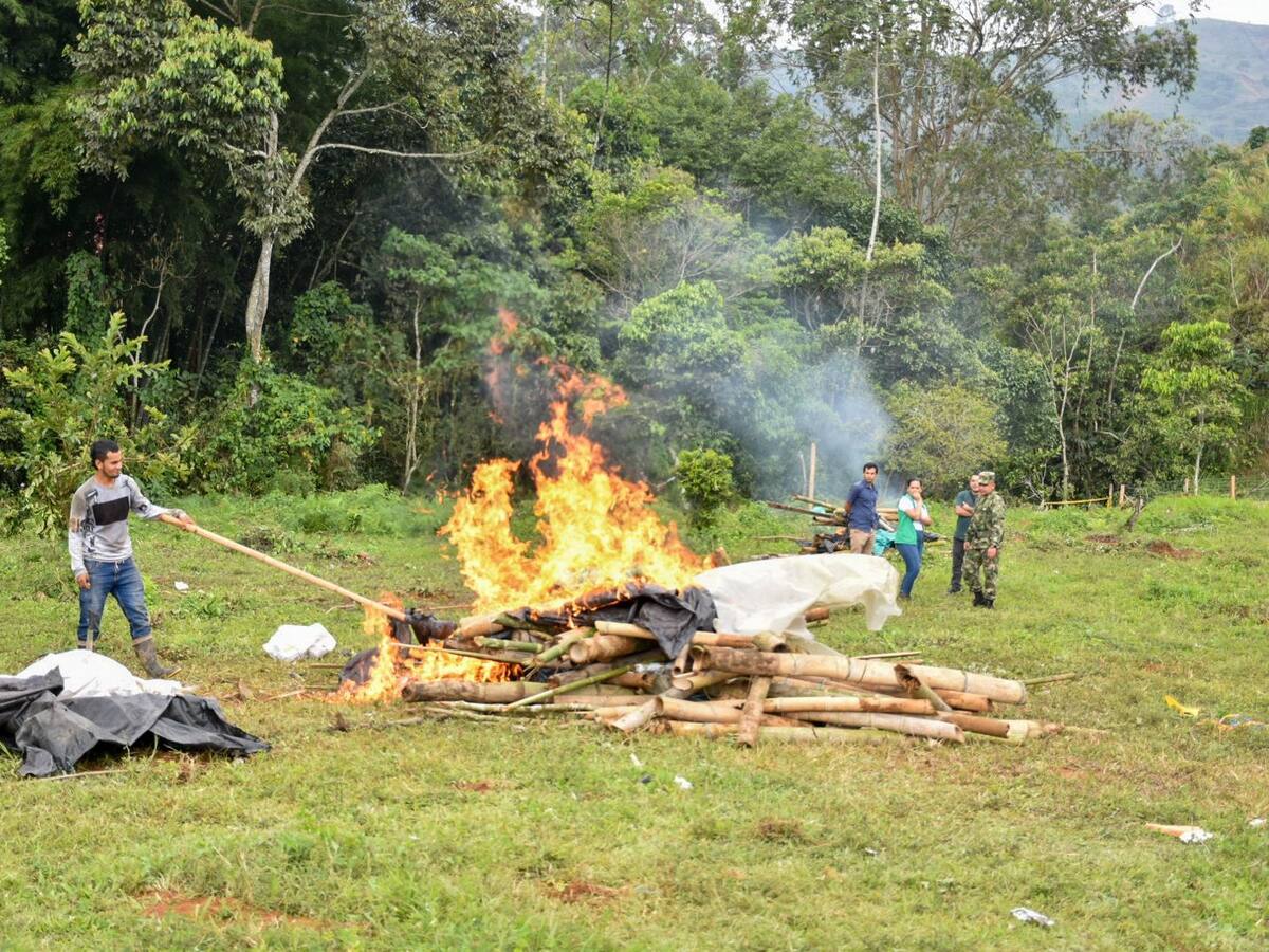 En Líbano, Tolima, buscan frenar a las bandas de ‘Tierreros’