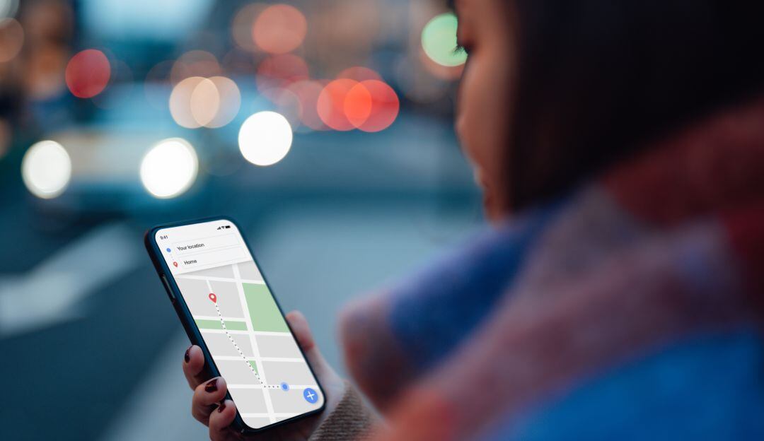 Imagen de referencia