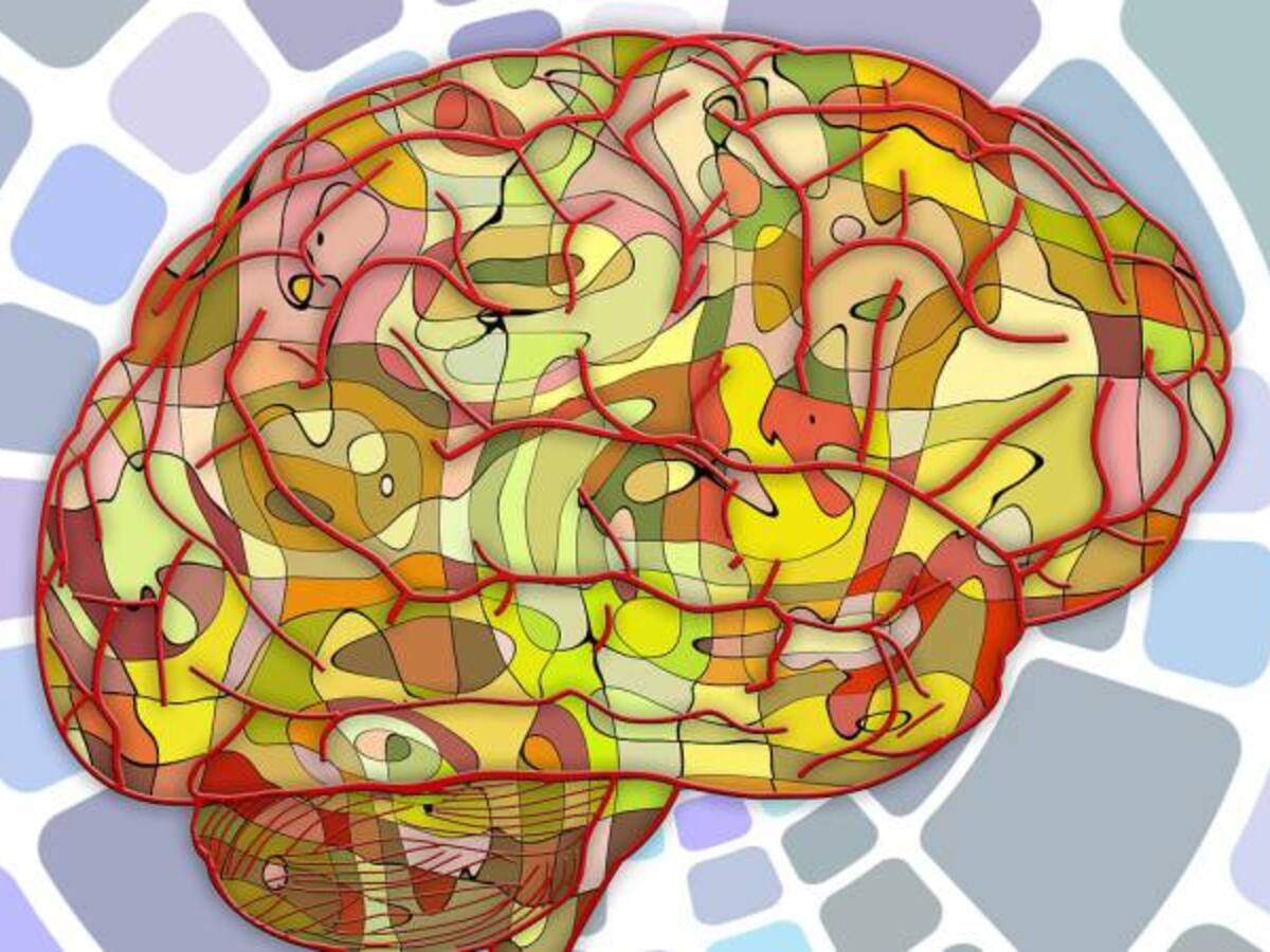 Los sueños son un instrumento útil para entender la mente: Mariano Sigman