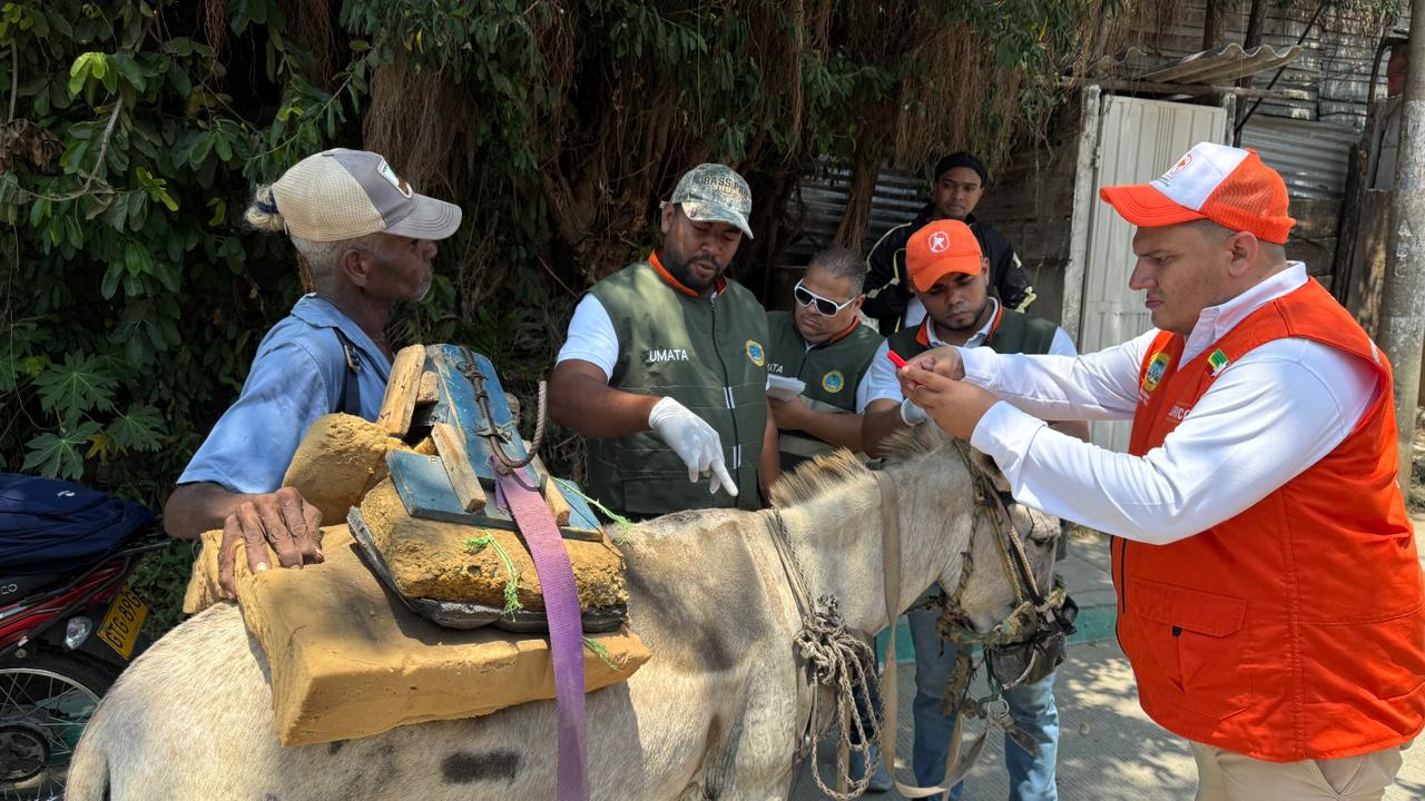 Alcaldía de Cartagena