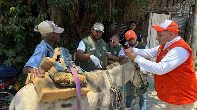 Alcaldía de Cartagena