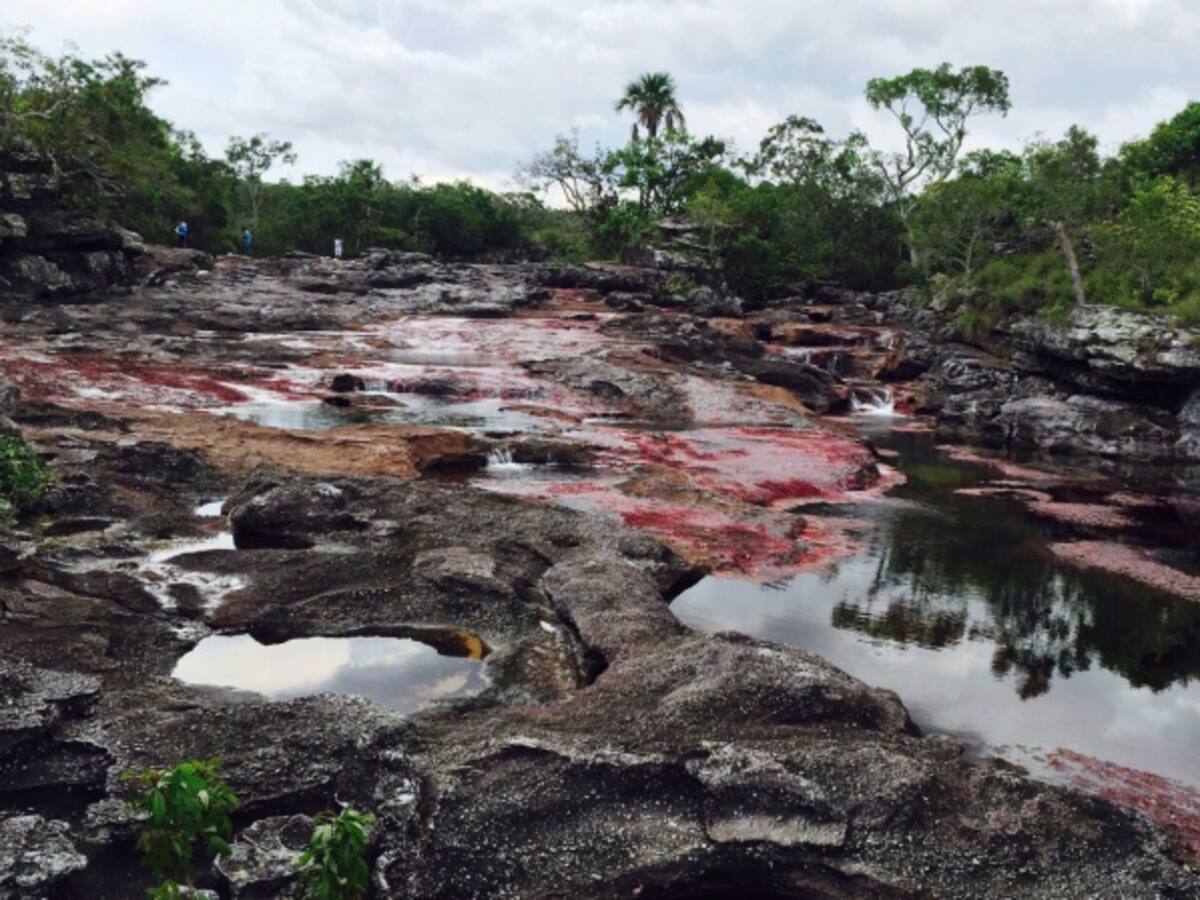 Hupecol no descarta una demanda por revocatoria de la licencia en La Macarena