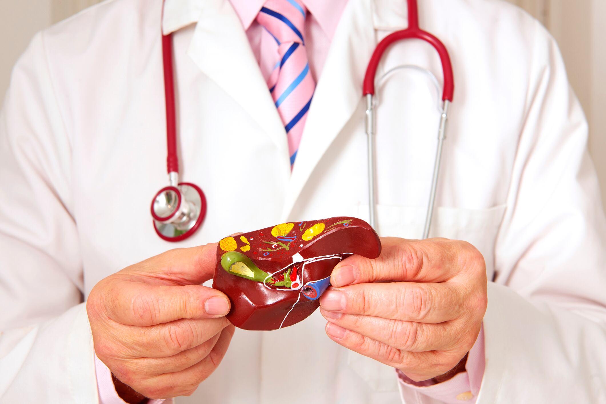 Surgeon/Tutor teaching using anatomical model of liver // GettyImages