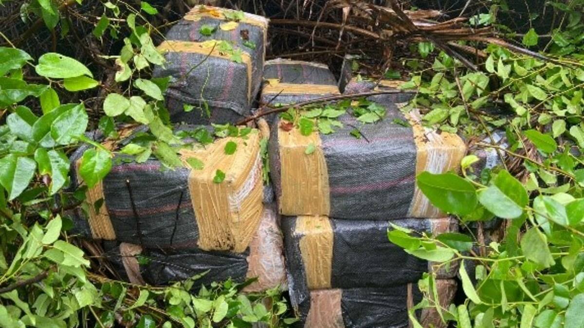 Con buzos profesionales adherían droga a embarcaciones de carga desde Buenaventura