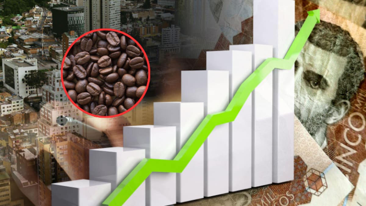 Precio café Colombia HOY junio 17: expertos analizan por qué está subiendo el valor del kg