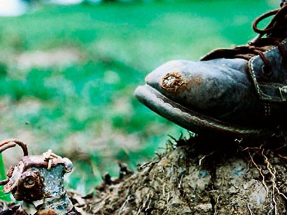Soldado y un perro heridos por mina en el Catatumbo