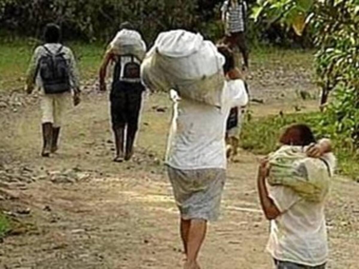 Gobierno está maquillando resultados de restitución de tierras: Human Rights Watch