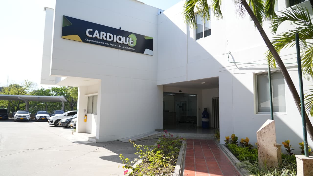 Cardique