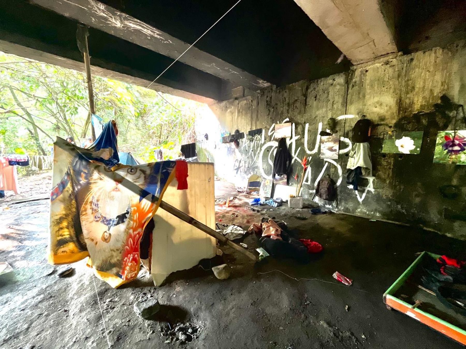 Predio invadido en Ibagué