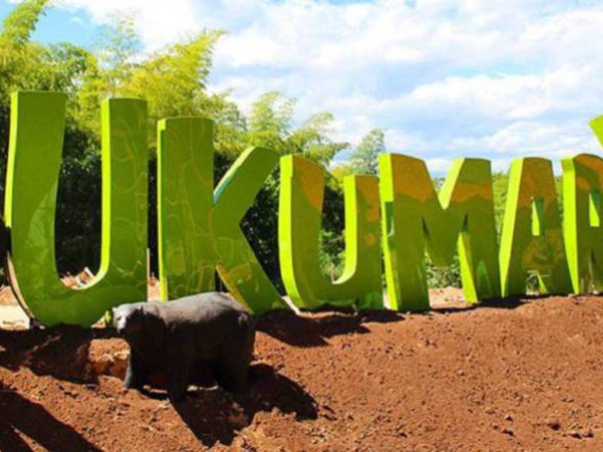 Faltan cinco especies para terminar el traslado de los animales a Ukumarí