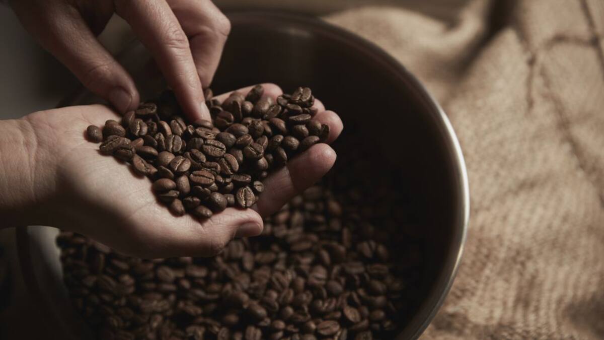En Risaralda impulsan a caficultores con discapacidades