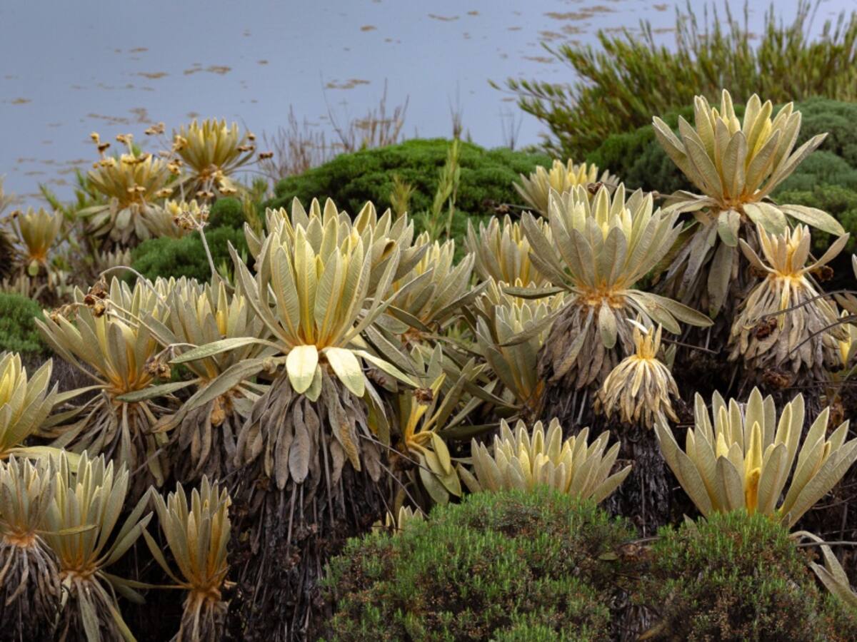 Un tesoro de agua custodiado por cóndores