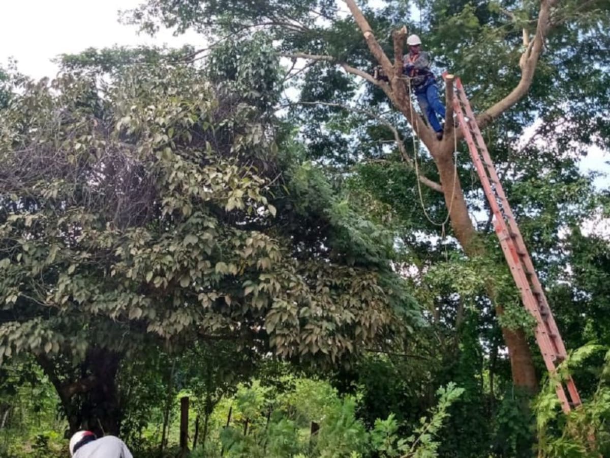 Afinia dejará sin luz este viernes a varios sectores de Cartagena y Bolívar