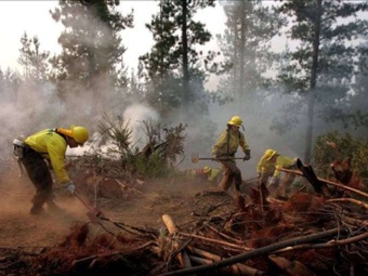 Más de mil hectáreas de bosques incendiadas en el sur de Argentina