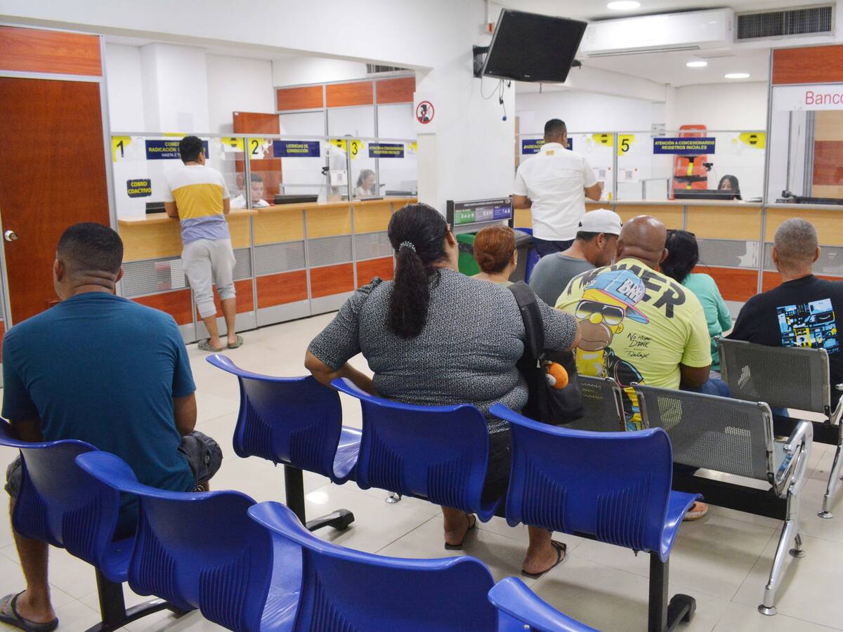 ¿Se te venció la licencia de conducción? Así de fácil podrás renovarla en Cartagena