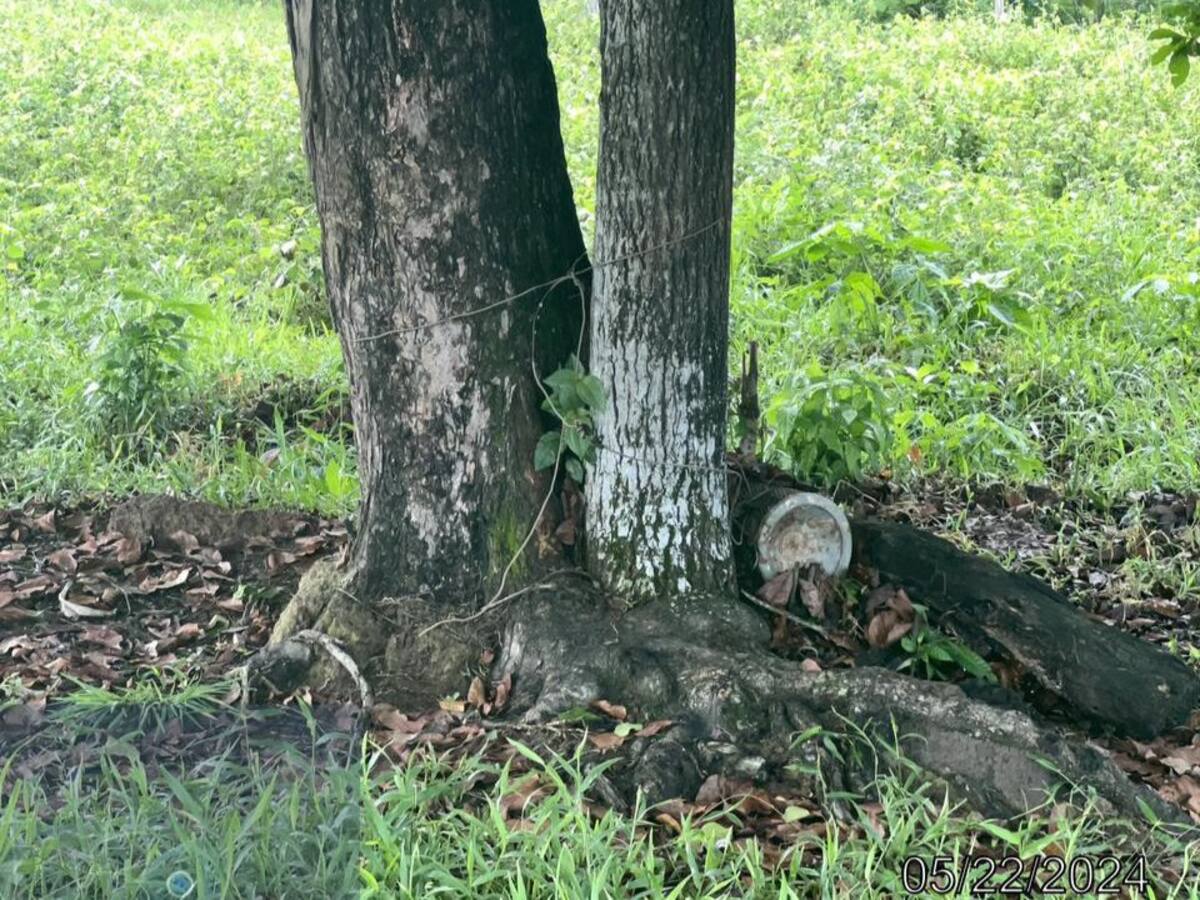 Ejército trata de desactivar artefacto explosivo en el Catatumbo