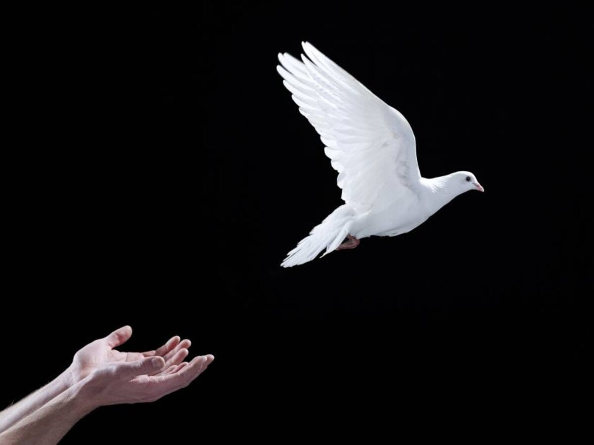 EEUU retira a Farc de lista de organizaciones terroristas