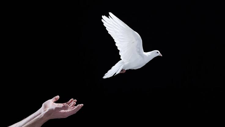 Estados Unidos retira a Farc de la lista de organizaciones terroristas y da un nuevo espaldarazo al acuerdo en Colombia