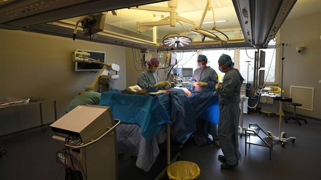 El video difundido en redes sociales, muestra el delicado estado de la niña que había recibido un impacto de bala en su cabeza/ Imagen de referencia. Foto: Getty Images