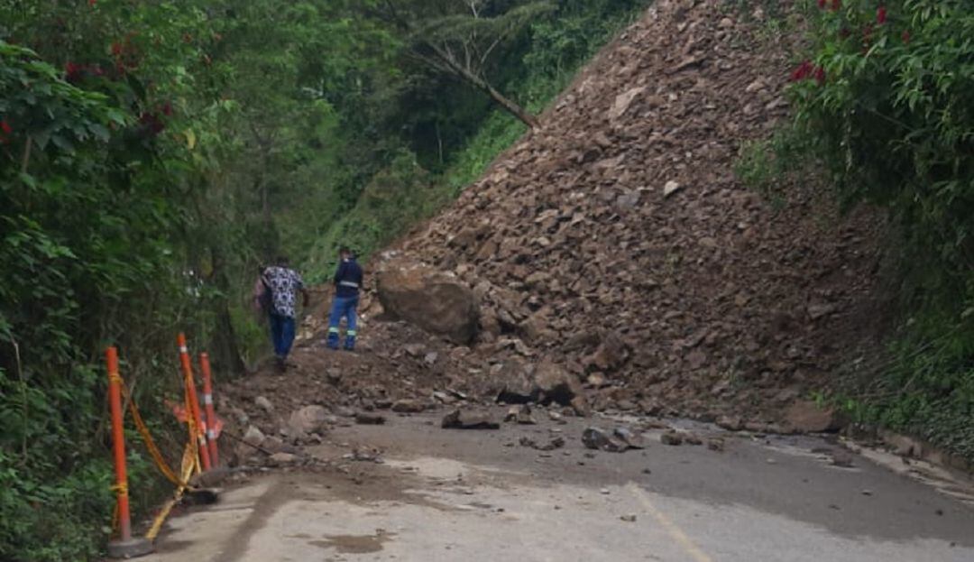 Secretario de Medio Ambiente de Caldas.