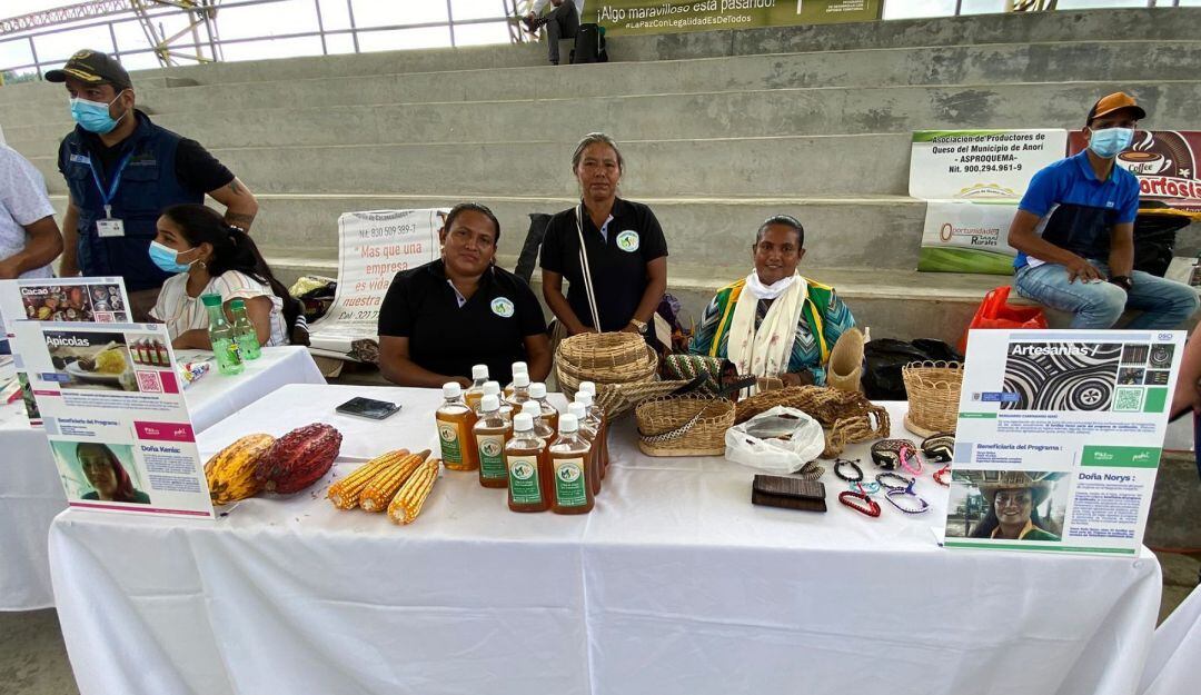 Más de 3.500 mujeres dejan atrás la hoja de coca para sembrar cacao y maíz