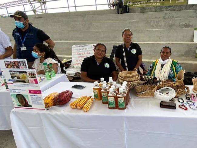 Más de 3.500 mujeres dejan atrás la hoja de coca para sembrar cacao y maíz