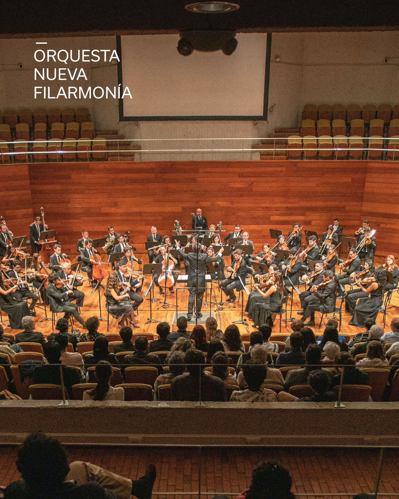 Nueva Filarmónica estará en el Ibagué Festival