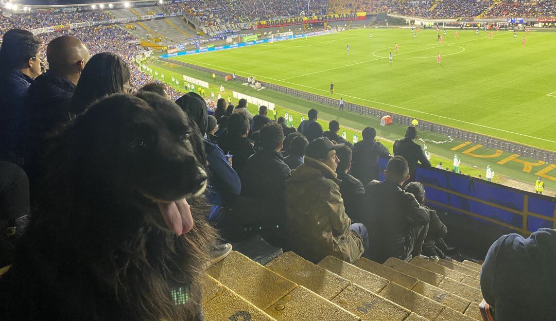 Millonarios 3-0 Alianza Petrolera en cuadrangulares del Finalización 2021