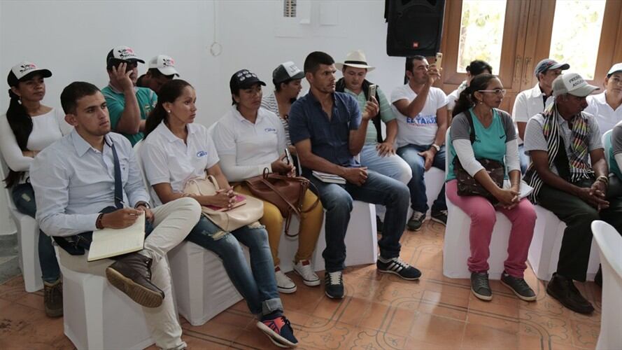 Más de 600 docentes inscritos en concurso para ocupar plazas en el Catatumbo. Foto: Gobernación de Norte de Santander