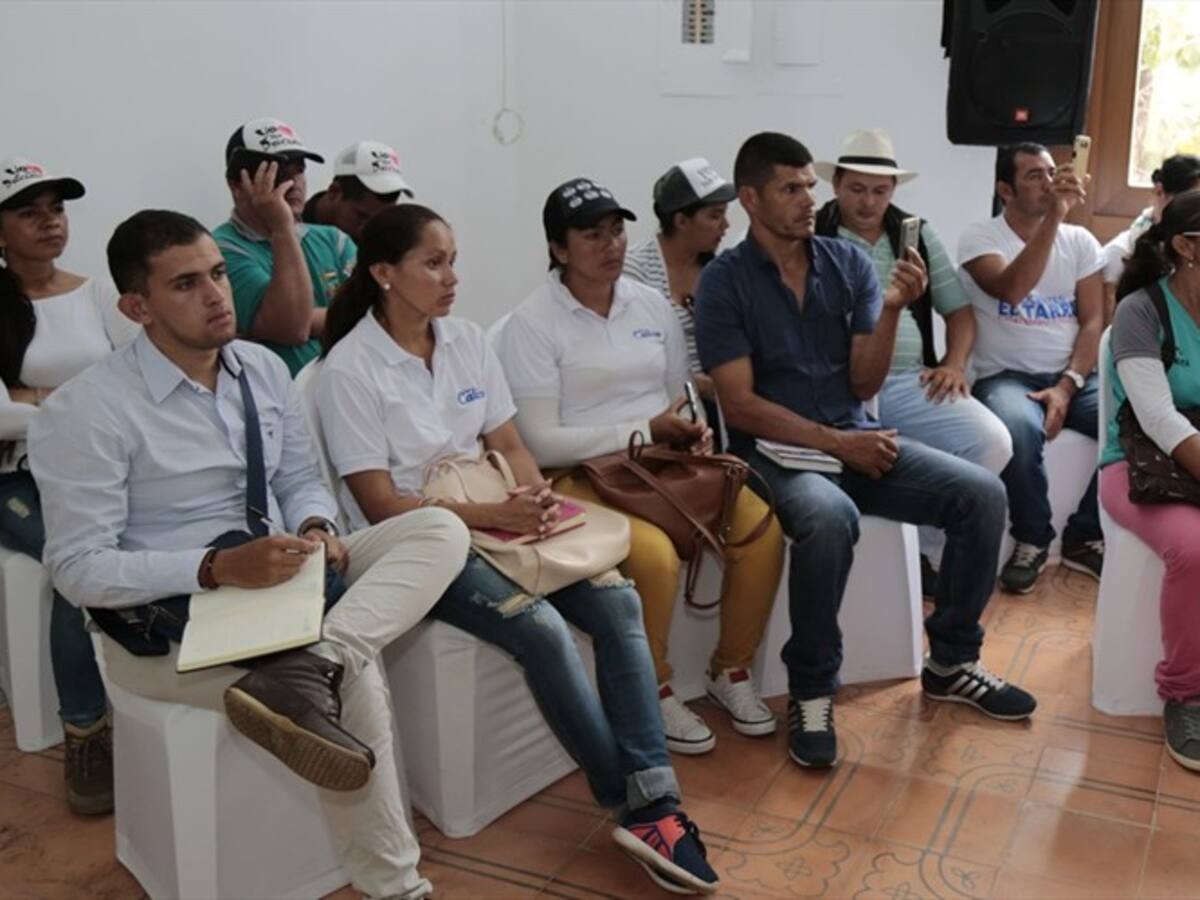 Más de 600 docentes inscritos en concurso para ocupar plazas en el Catatumbo