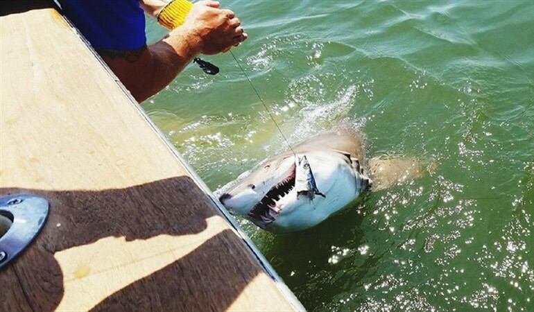 Imagen de referencia. Foto: Getty Images