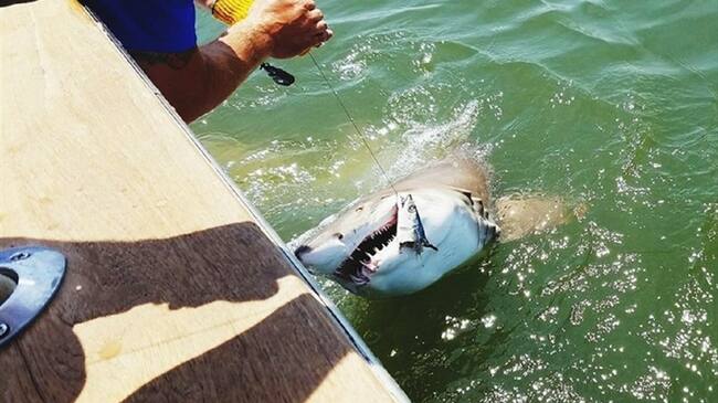 Imagen de referencia. Foto: Getty Images