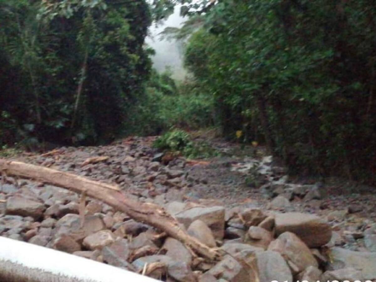 Suspenden servicio de buses hacia Medellín por derrumbe en La Felisa