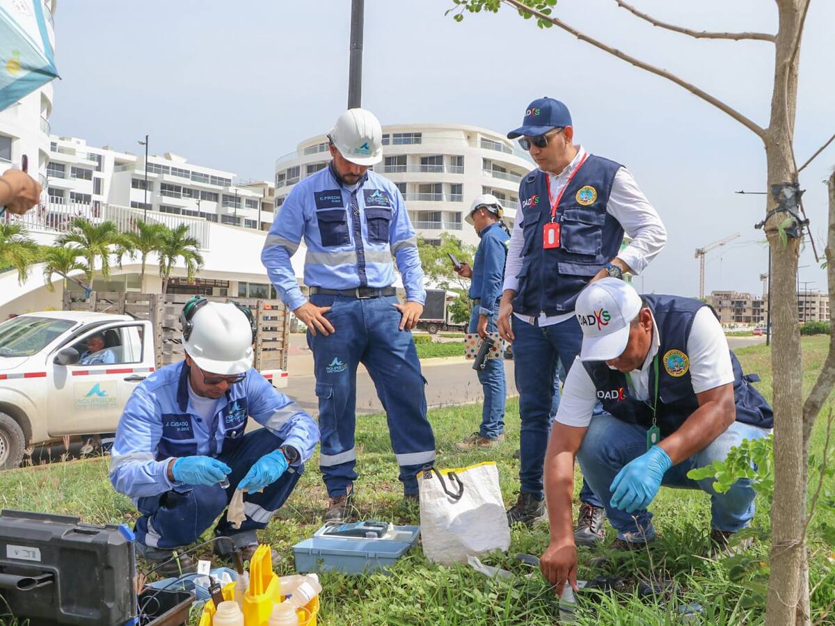 Aguas de Cartagena continúa investigación sobre la calidad de agua en Serena del Mar