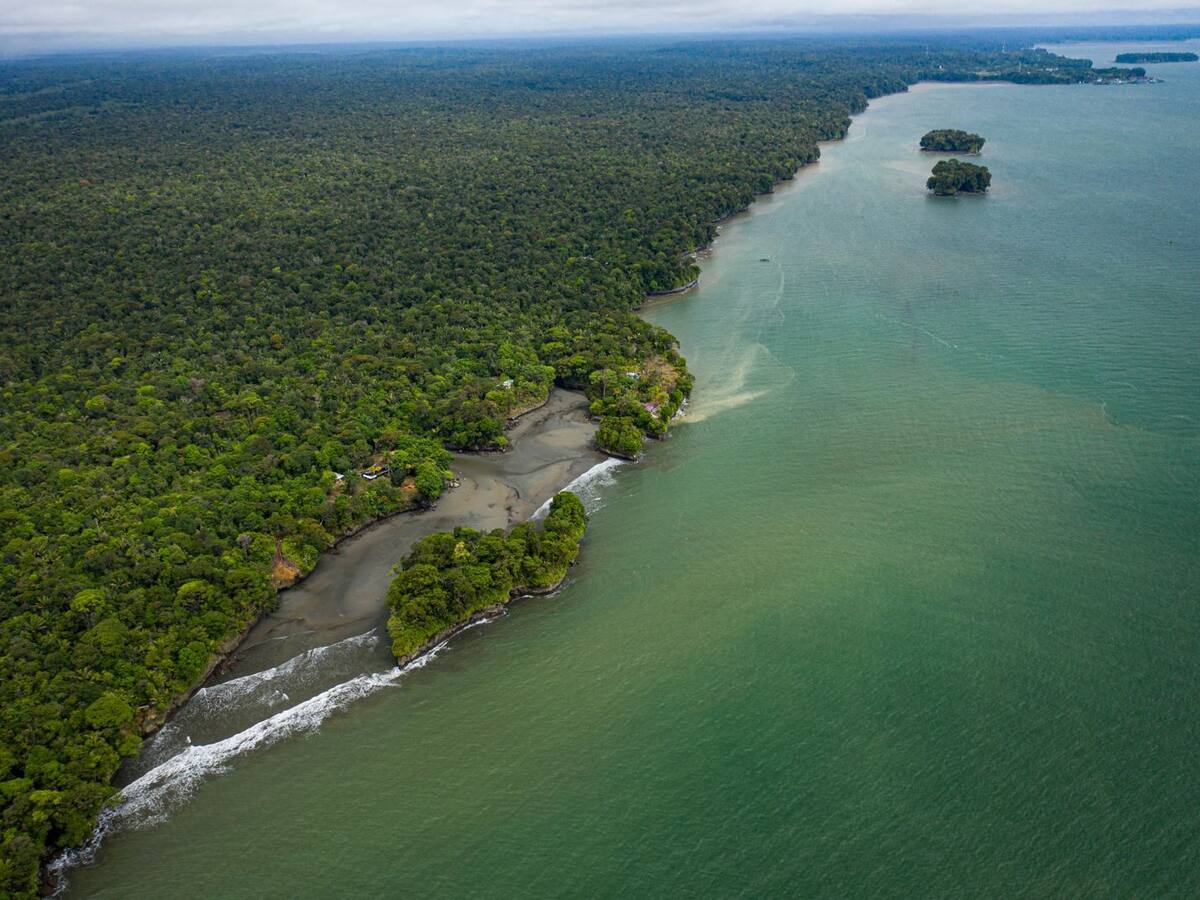 El Valle del Cauca busca resultados positivos tras fortalecer campaña de turismo en FITUR