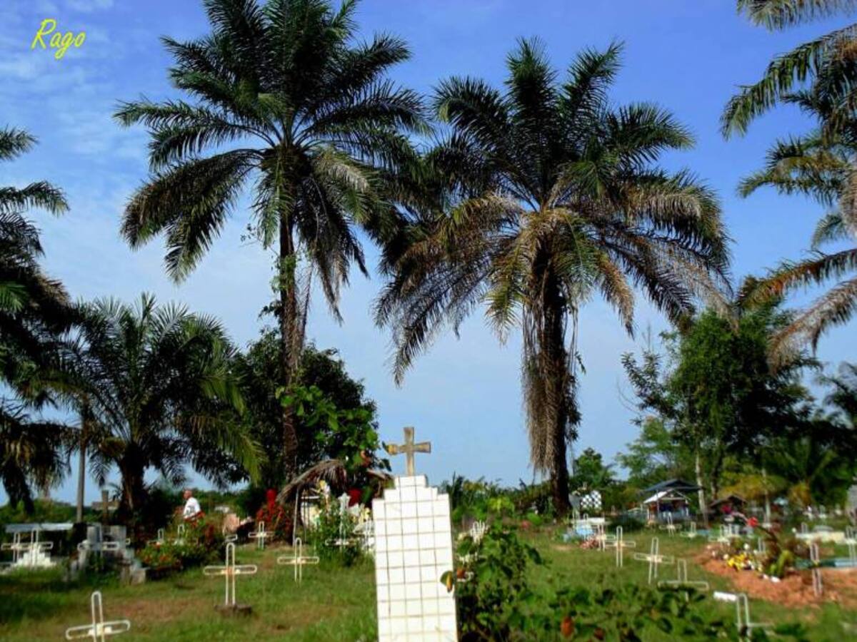 Prohibido morirse; sepultureros serán jurados de votación