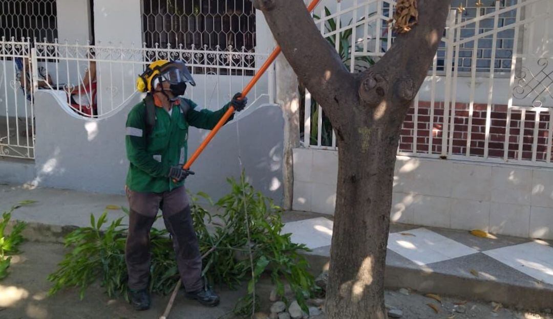 Interaseo a Tu Lado intervino exitosamente en el sector de El Parque