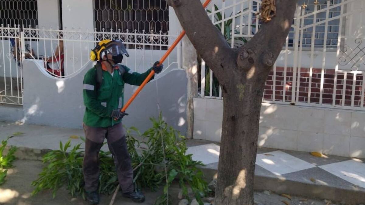 Interaseo intervino de manera integral el sector de El Parque