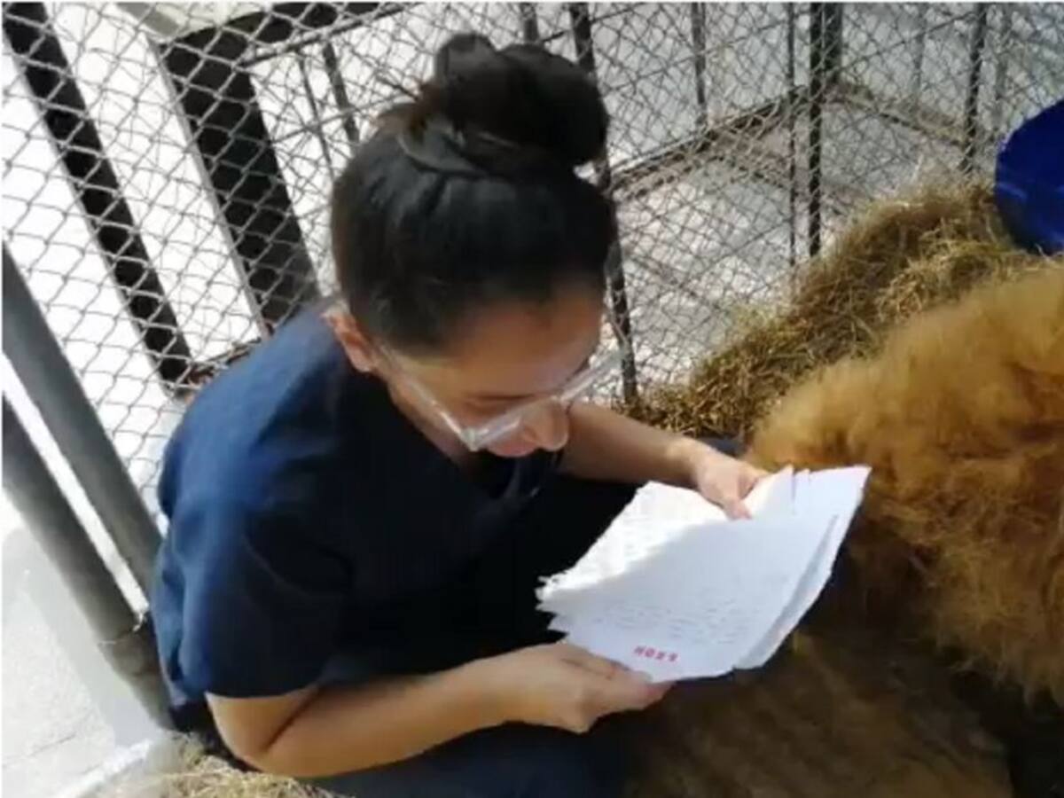 Niños enviaron cartas llenas de amor a Júpiter